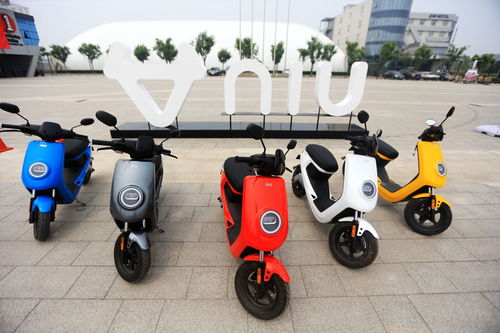 小牛踏足印度市場(chǎng) 中國(guó)電動(dòng)車全球征戰(zhàn)再下一城